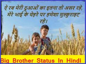 brother in hindi