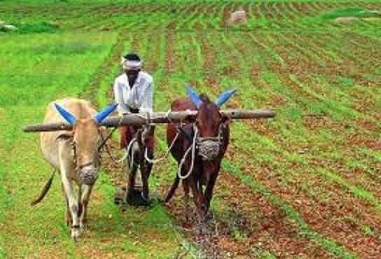 कृषि पर निबंध | Essay On Agriculture In Hindi