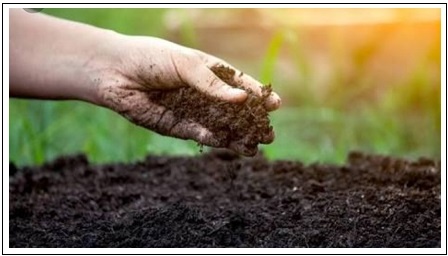 Poem On Soil In Hindi