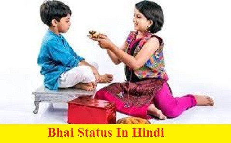 Bhai Status In Hindi