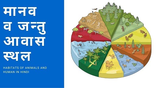 मानव व जन्तु आवास स्थल | Habitats Of Animals And Human In Hindi