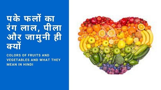 पके फलों का रंग लाल, पीला और जामुनी ही क्यों | colors of fruits and vegetables and what they mean In Hindi