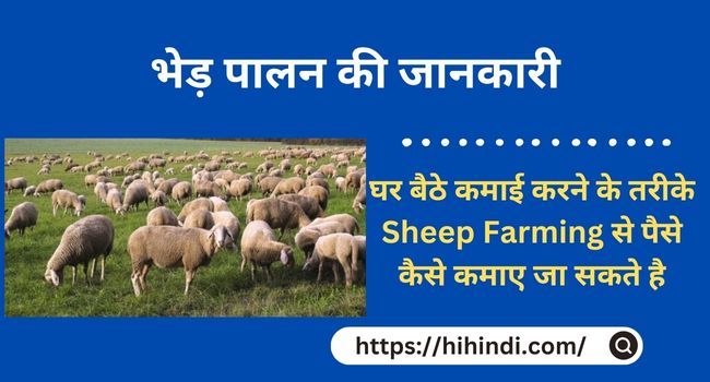 भेड़ पालन की जानकारी | Bhed Palan Hindi