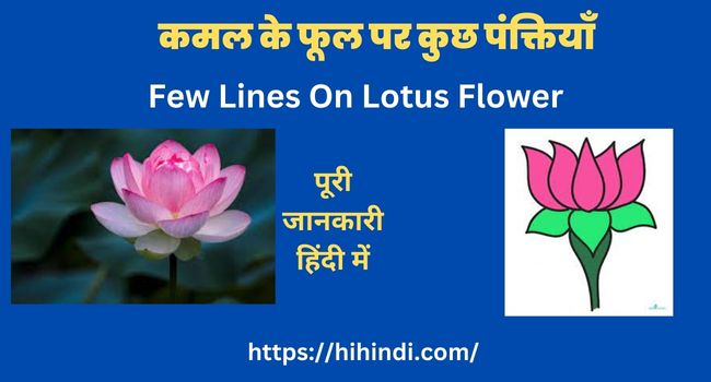 Few Lines On Lotus Flower In Hindi कमल के फूल पर कुछ पंक्तियाँ