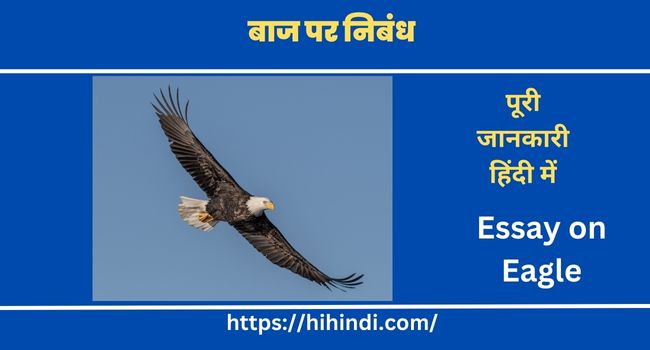 बाज पर निबंध Essay on Eagle in Hindi