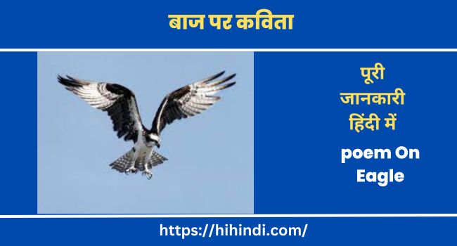 बाज पर कविता Poem On Eagle In Hindi