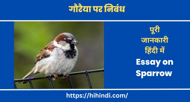 गौरैया पर निबंध Essay on Sparrow in Hindi