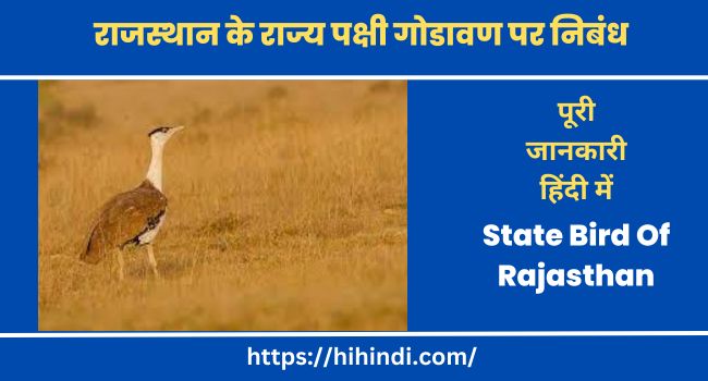 राजस्थान के राज्य पक्षी गोडावण पर निबंध Essay On State Bird Of Rajasthan In Hindi