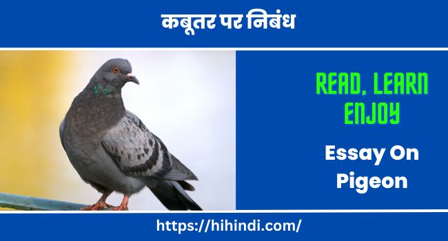 कबूतर पर निबंध Essay On Pigeon In Hindi