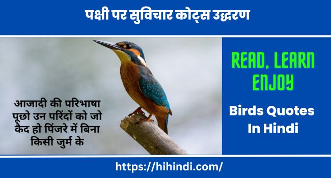 पक्षी पर सुविचार कोट्स उद्धरण Birds Quotes In Hindi