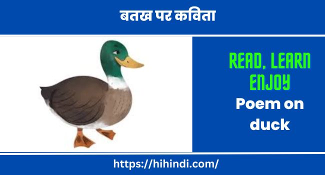 बतख पर कविता - Poem on duck in hindi