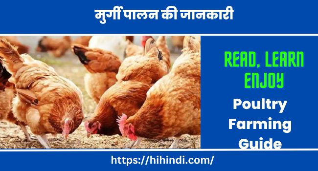 मुर्गी पालन की जानकारी | Poultry Farming Guide In Hindi